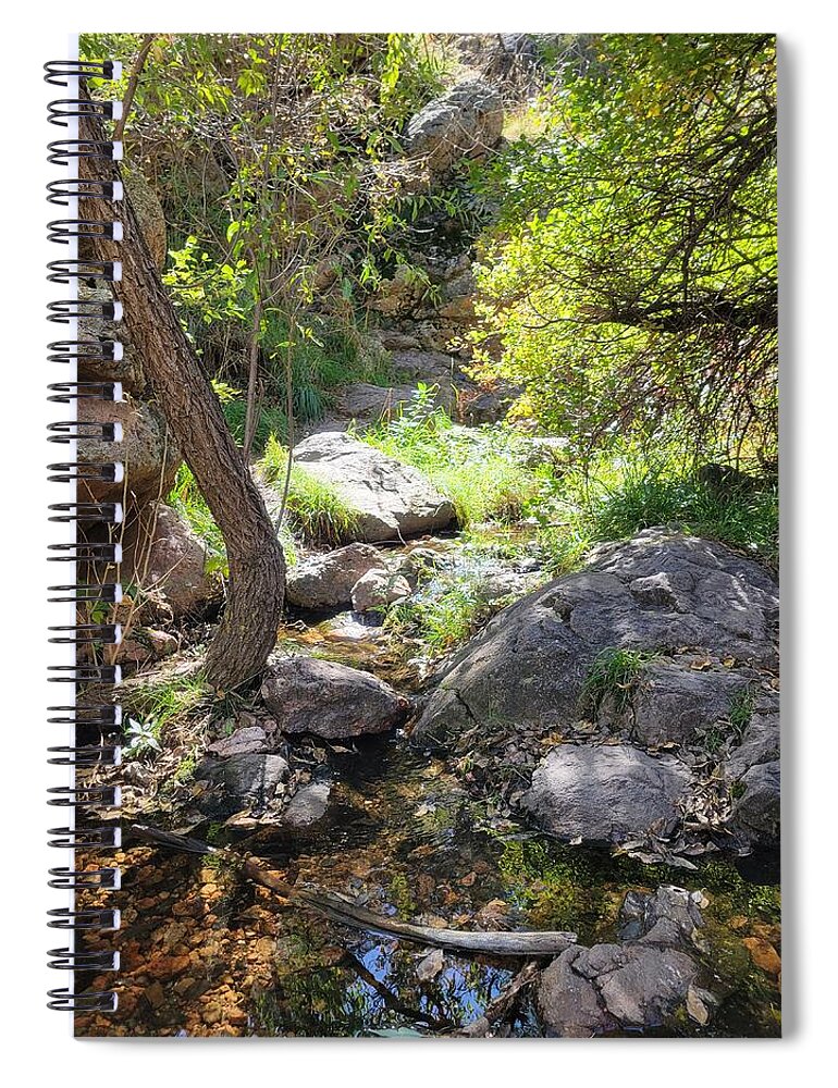 Water Spiral Notebook featuring the photograph Hidden Gem in the Forest by Jennifer Forsyth