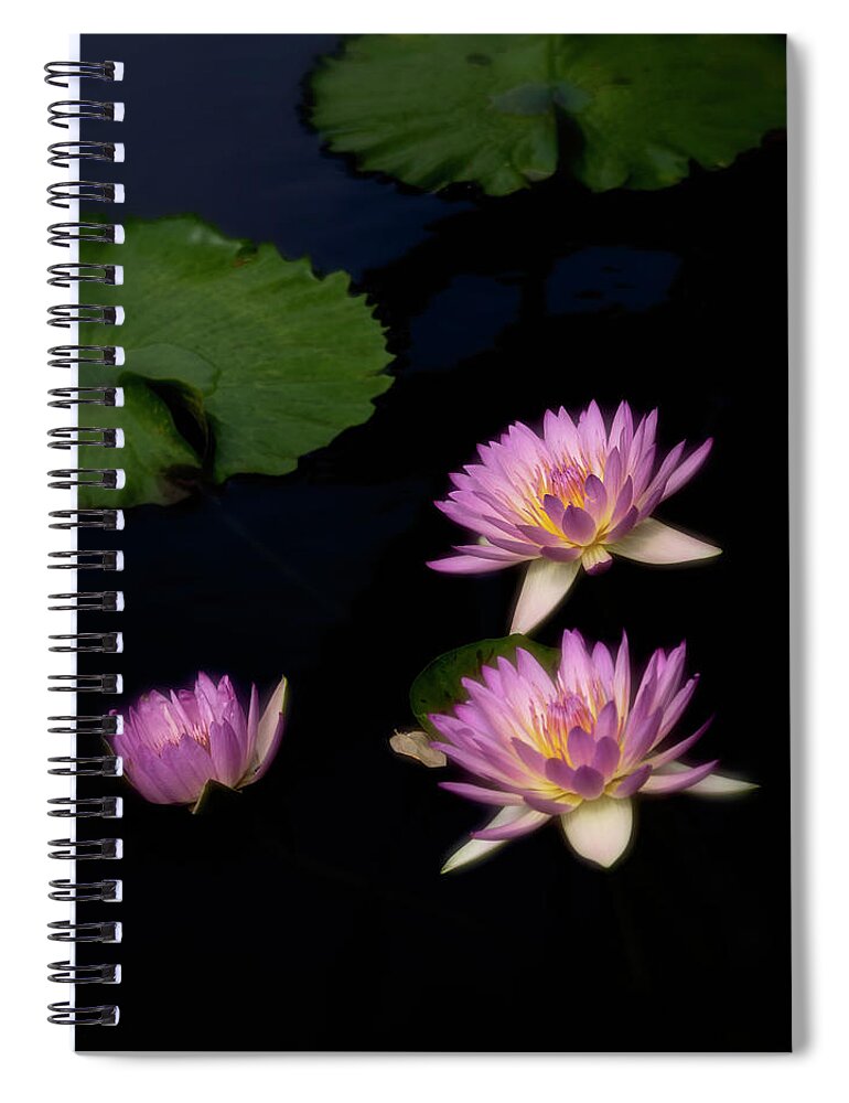 Summer Spiral Notebook featuring the photograph Hidden gems. by Usha Peddamatham