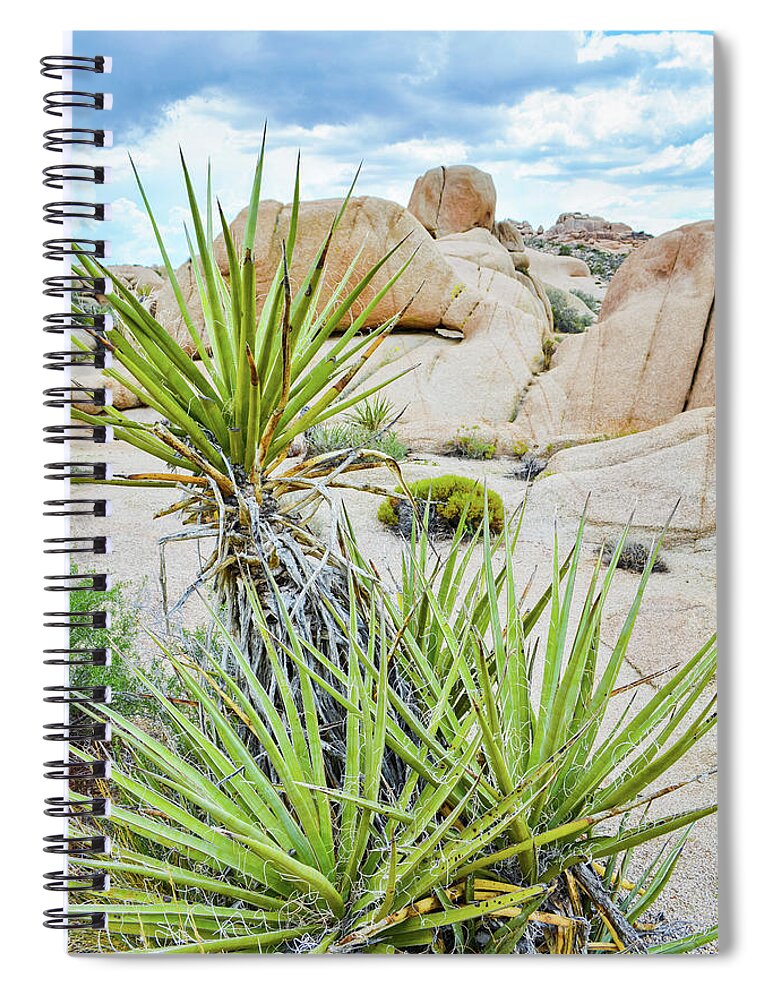 Joshua Tree Spiral Notebook featuring the photograph Hidden Valley Yucca by Kyle Hanson