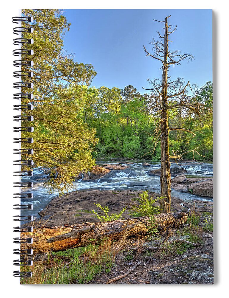 High Falls Spiral Notebook featuring the photograph High Falls Trees by David R Robinson