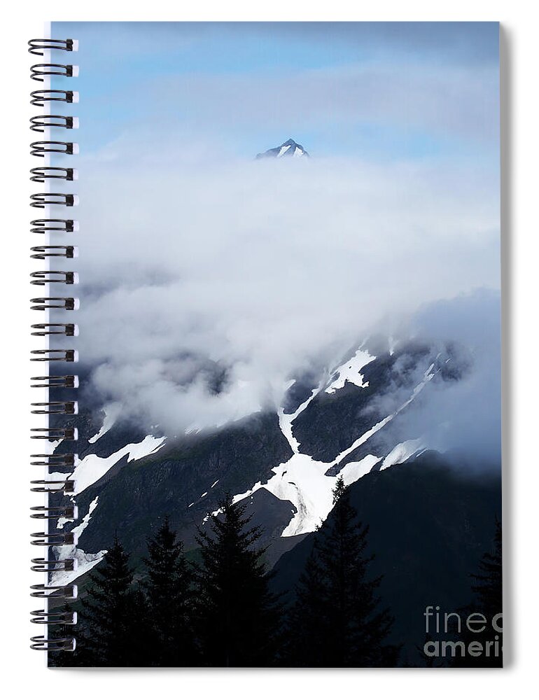 Mountains Spiral Notebook featuring the photograph High Peaks and Snow in the Alaska Range by L Bosco