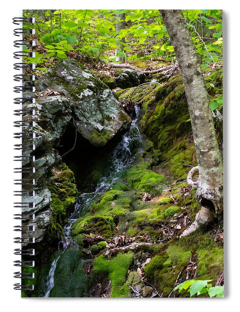 Stream Spiral Notebook featuring the photograph Hiking Summed Up by Linda Bonaccorsi