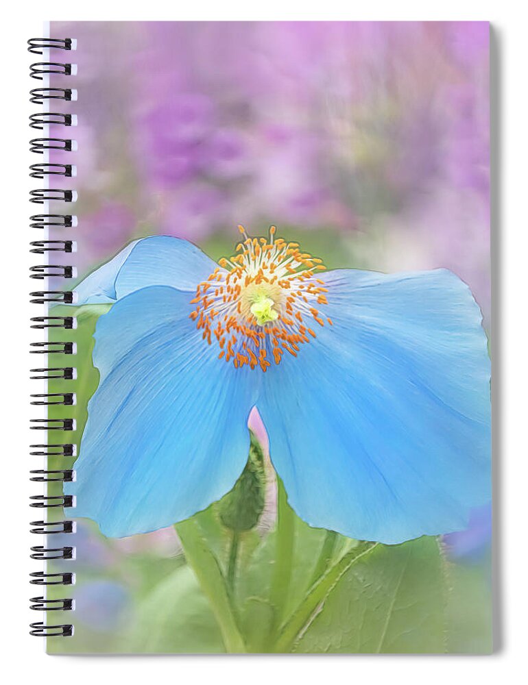 Poppy Spiral Notebook featuring the photograph Himalayan Blue Poppy - In The Garden by Sylvia Goldkranz