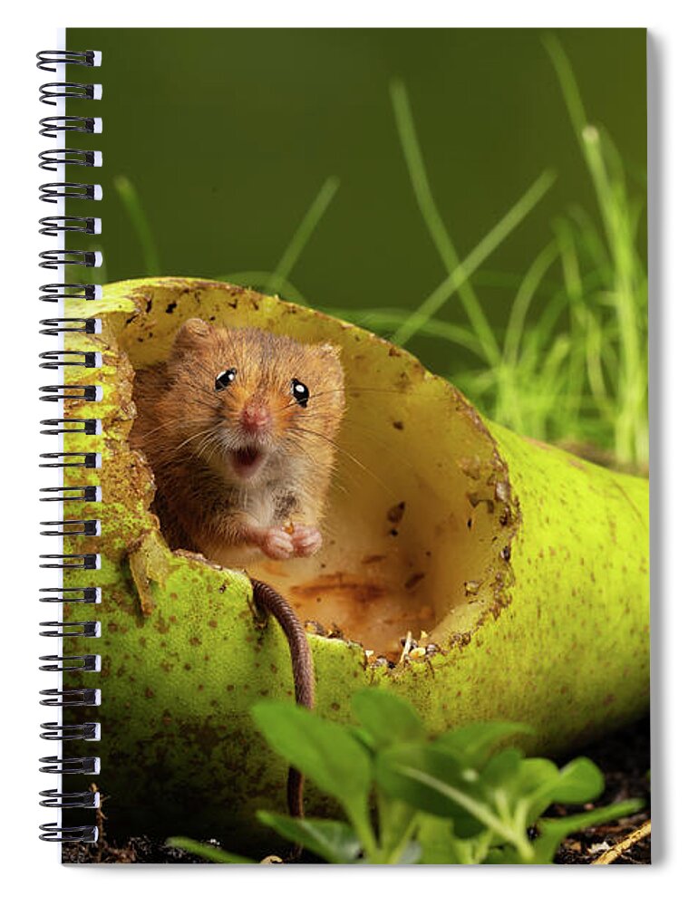Harvest Spiral Notebook featuring the photograph HM-08600b by Miles Herbert