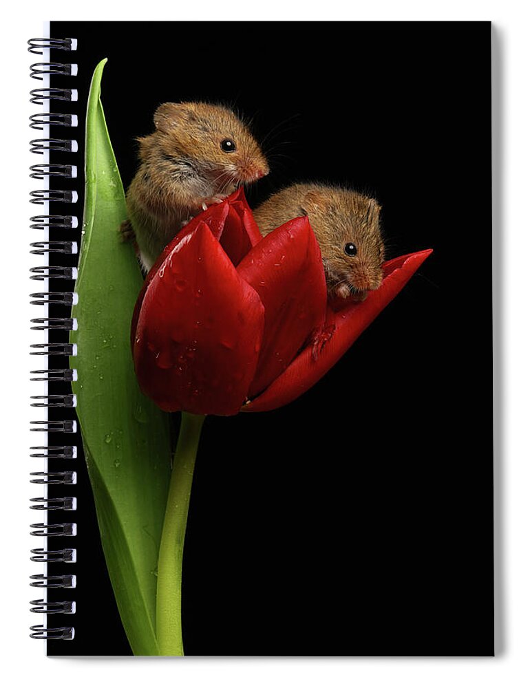 Harvest Spiral Notebook featuring the photograph Hm-0990 by Miles Herbert