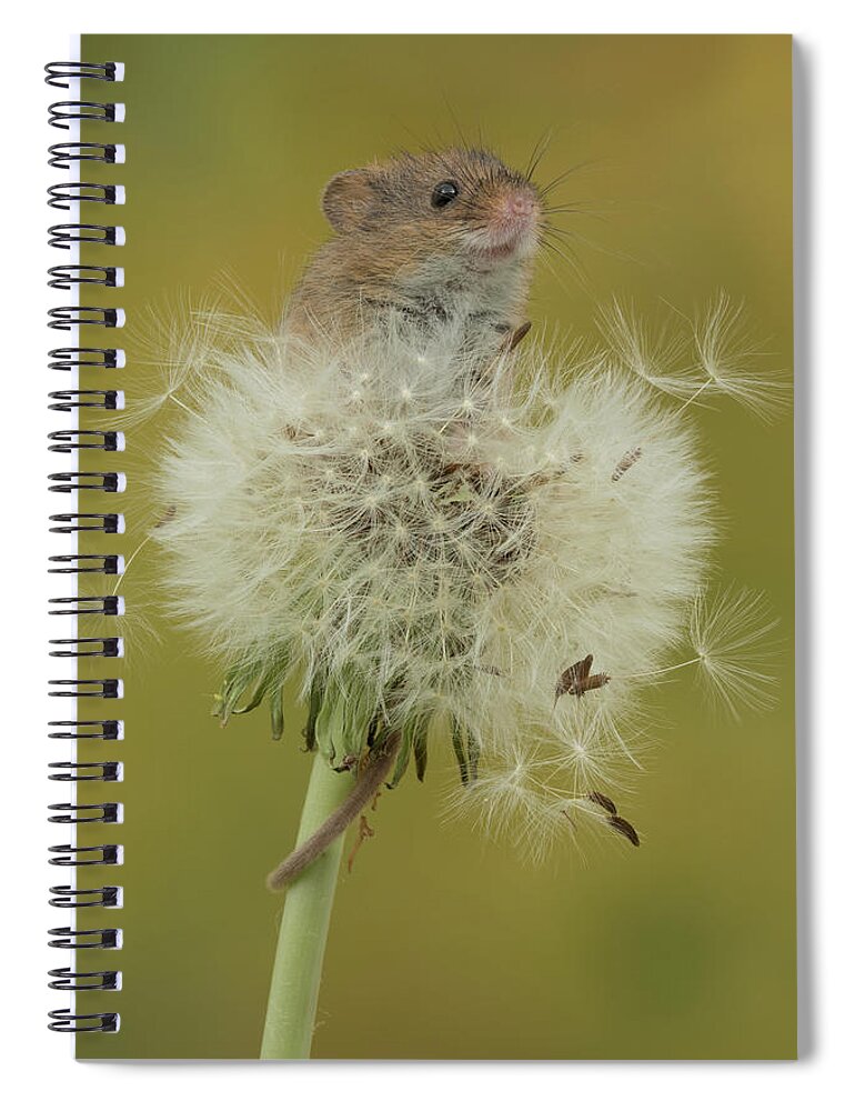 Harvest Spiral Notebook featuring the photograph Hm-7447 by Miles Herbert