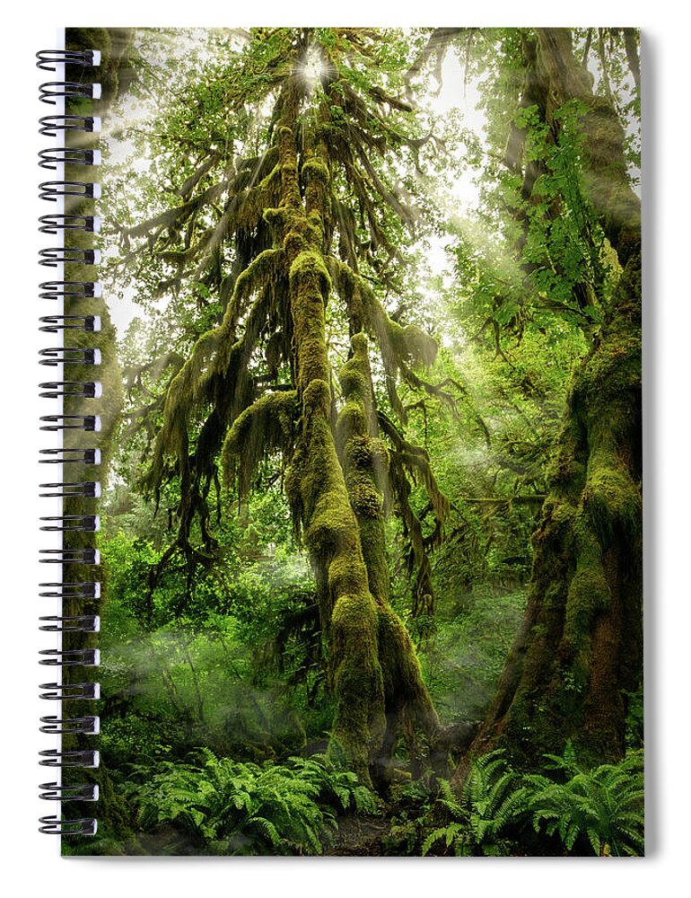 Brown Spiral Notebook featuring the photograph Hoh Rainforest Tree by Amanda Jones