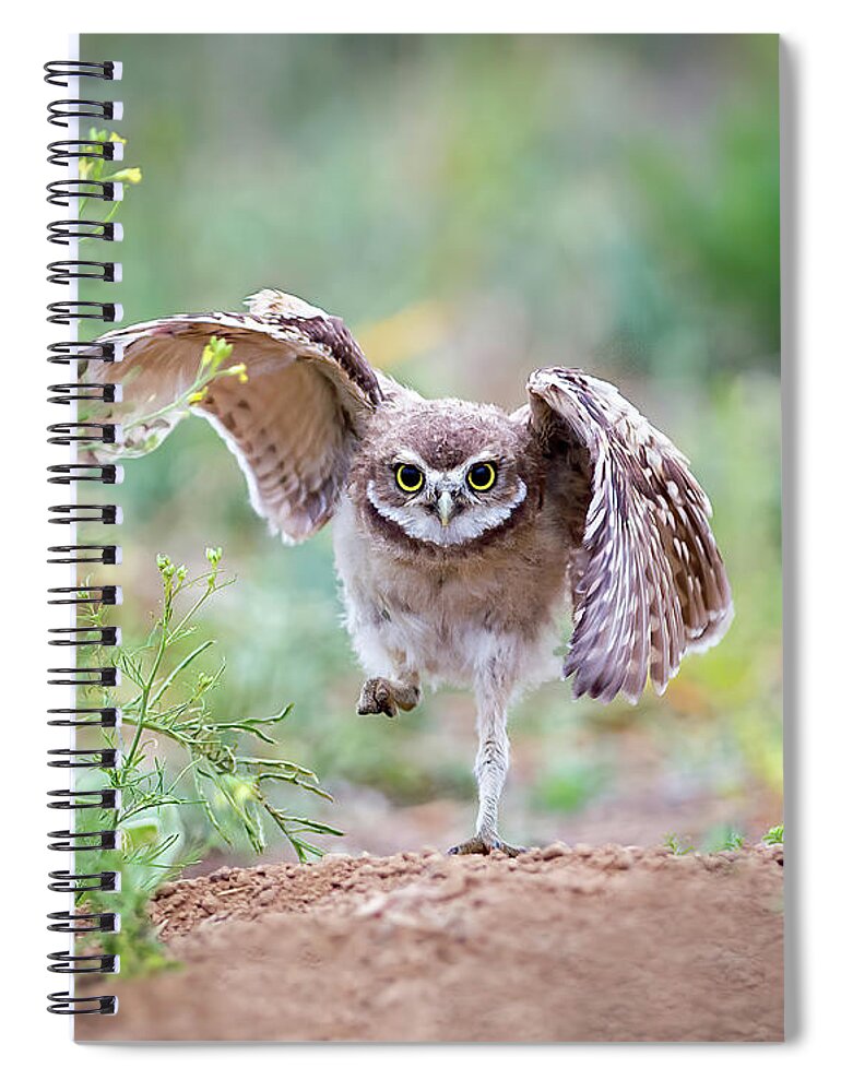 Burrowing Owl Spiral Notebook featuring the photograph Hold on, I'm comin' by Judi Dressler