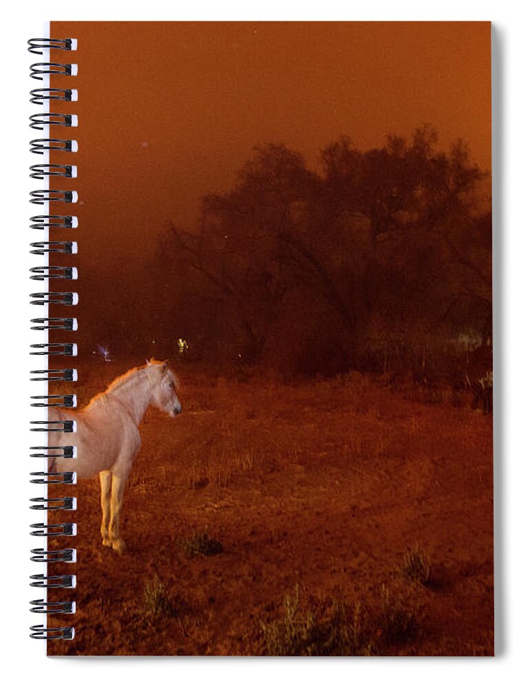Los Angeles Spiral Notebook featuring the photograph Horse at Ojai by Joseph Philipson