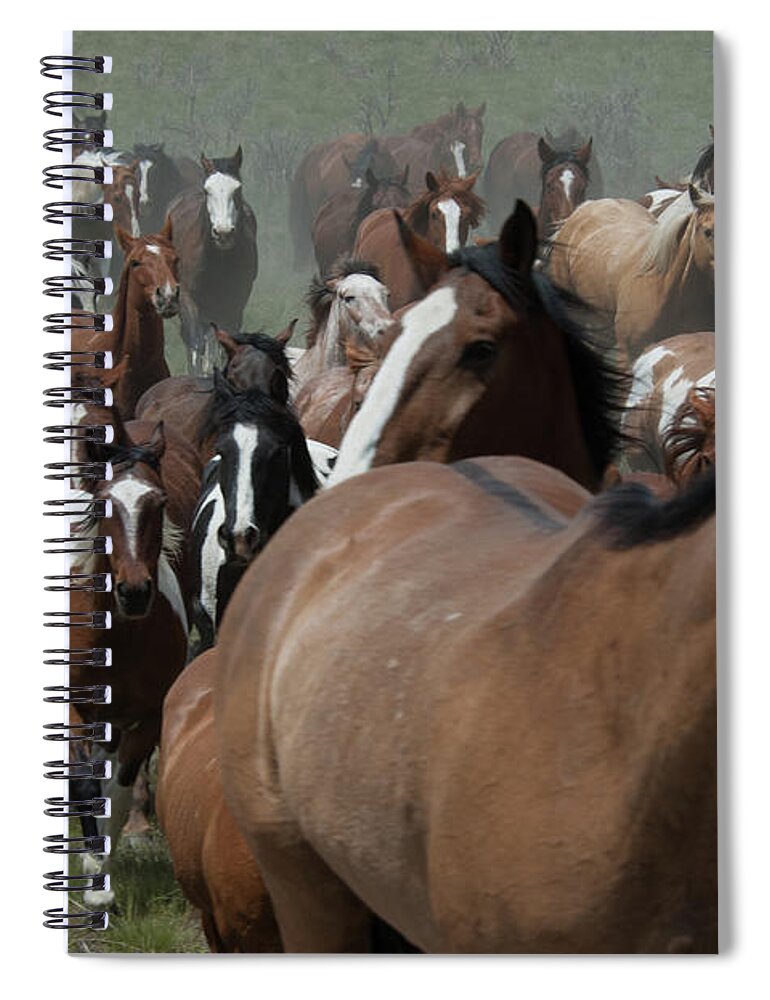 Herd Spiral Notebook featuring the photograph Horse Herd by Jody Miller
