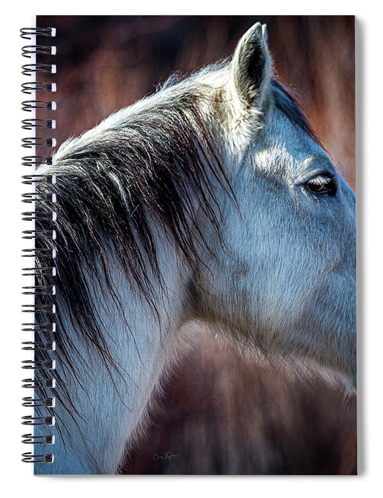 Horse Spiral Notebook featuring the photograph Horse No. 4 by Craig J Satterlee
