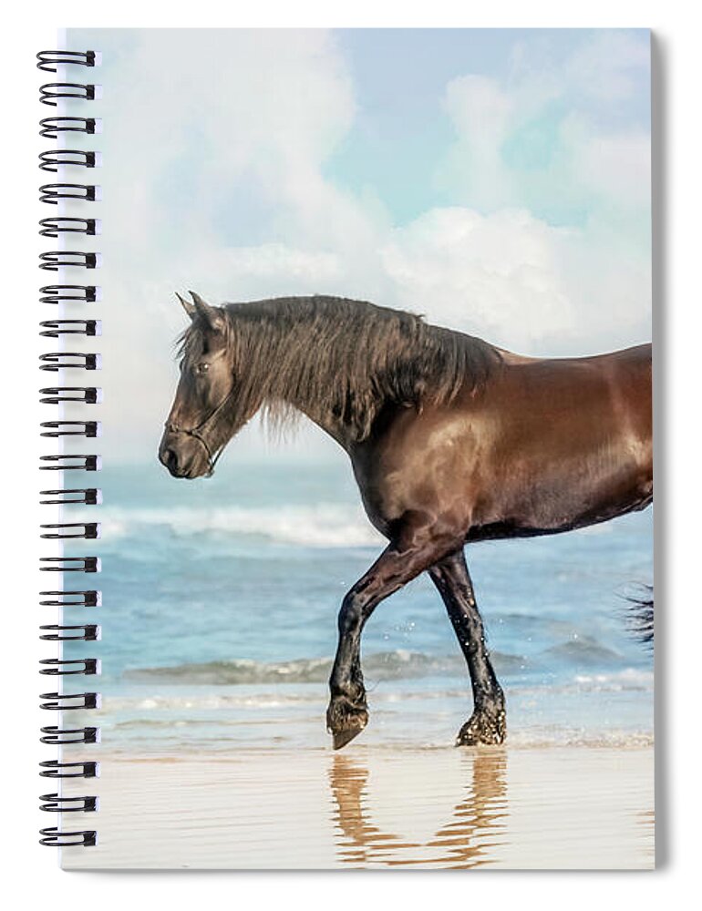 Horse Spiral Notebook featuring the photograph horse on the Beach Print by JBK Photo Art