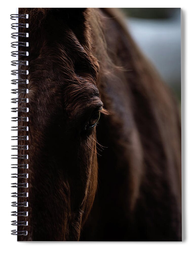 Serenity Cottage Horse Farm Spiral Notebook featuring the photograph Horse view by Teresa Blanton