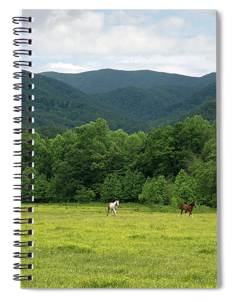 Cades Cove Spiral Notebook featuring the photograph Horses at Cades Cove 3 by Phil Perkins