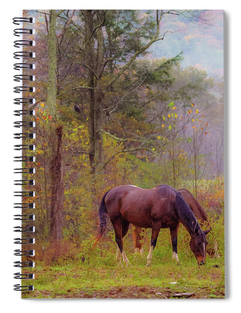 Cade's Cove Spiral Notebook featuring the photograph Horses in the Smokies by Darrell DeRosia