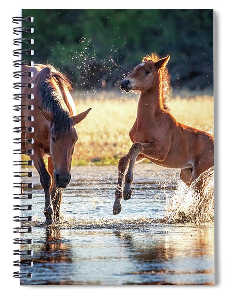 Animal Spiral Notebook featuring the photograph Horsing Around by Rick Furmanek