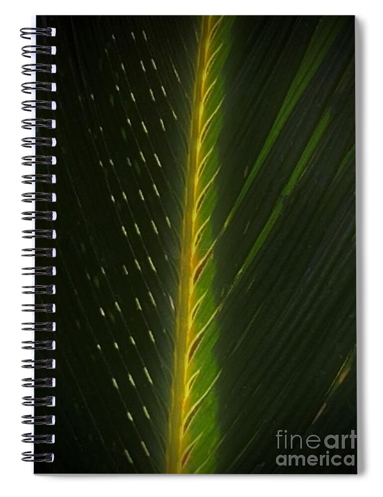 Palm Spiral Notebook featuring the photograph Hosanna by Tiesa Wesen