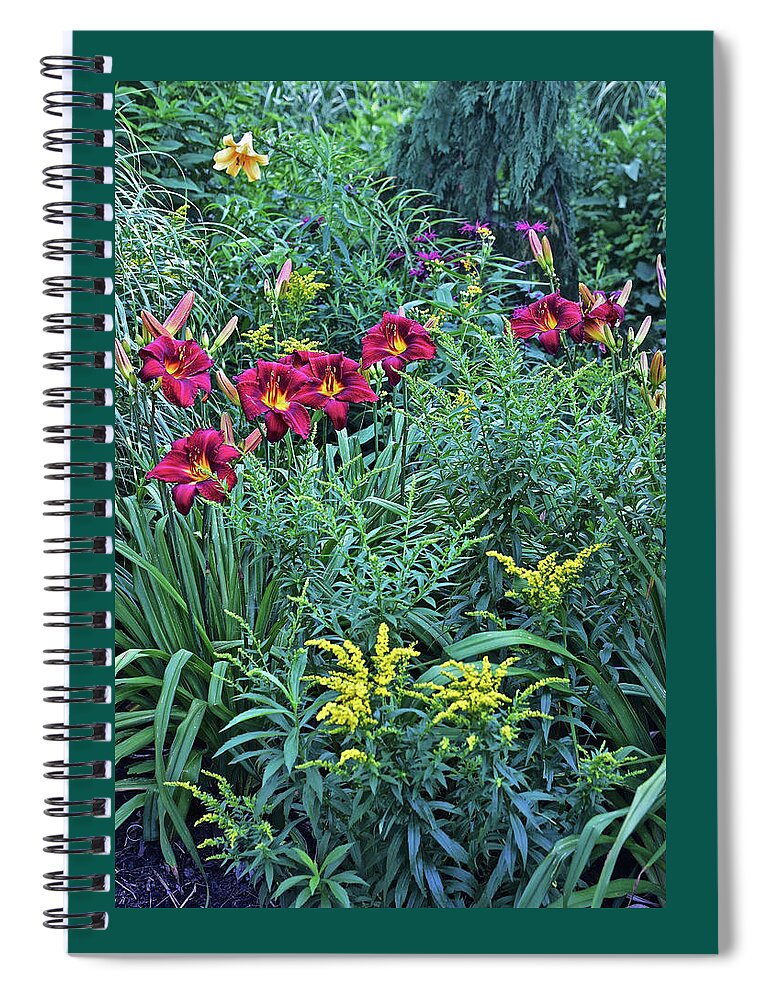 Summer Spiral Notebook featuring the photograph Hot July Daylilies by Janis Senungetuk