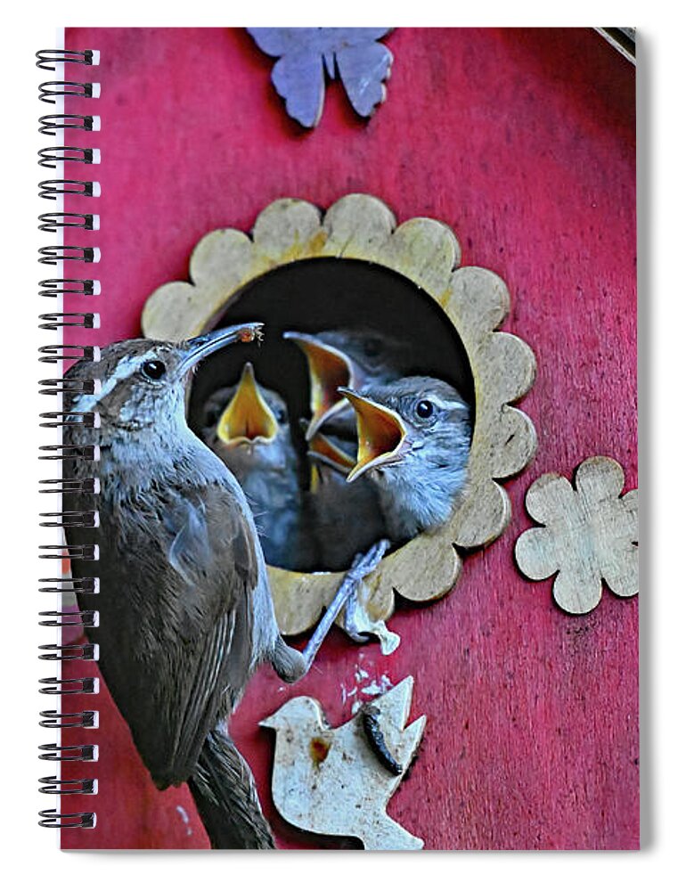The House Wren Spiral Notebook featuring the photograph House Wren - Too Many Hungry Bills by Amazing Action Photo Video