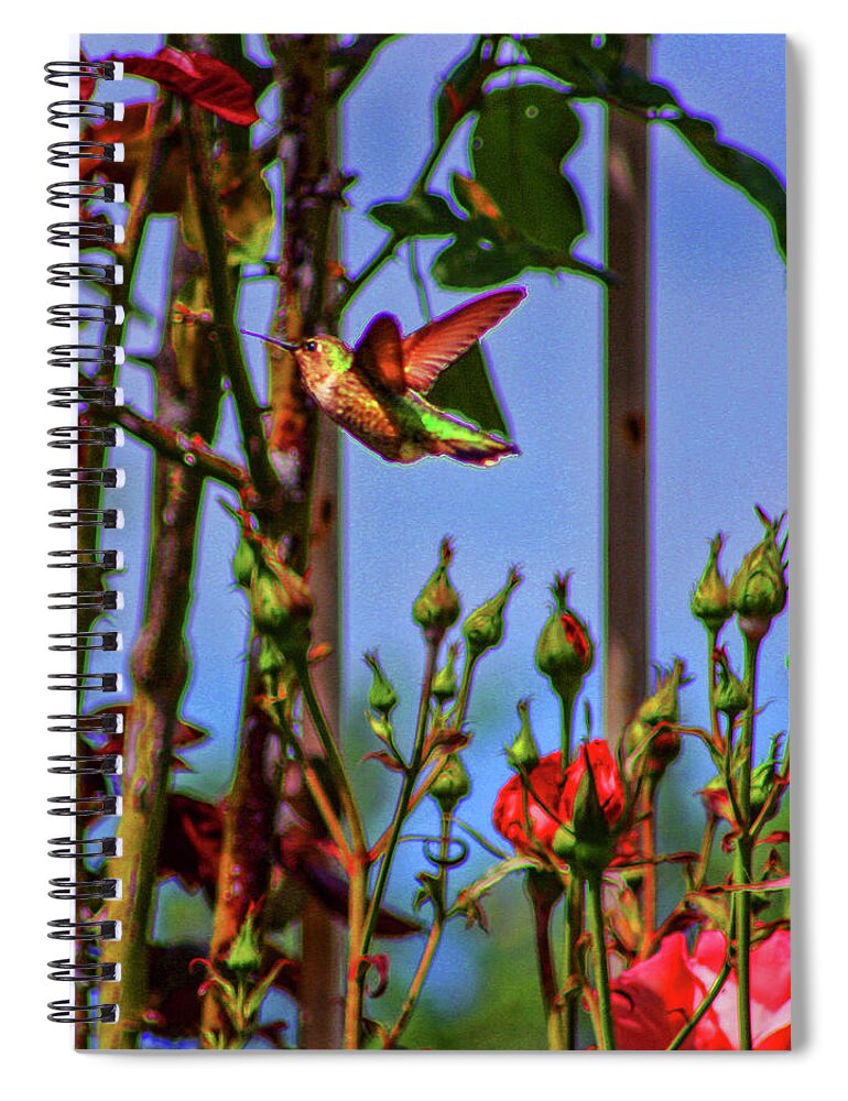 Hummingbird Spiral Notebook featuring the photograph Hover by Tommy Anderson