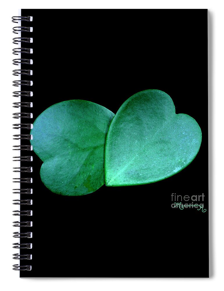 Nature Spiral Notebook featuring the photograph Hoya Hearts by Mariarosa Rockefeller