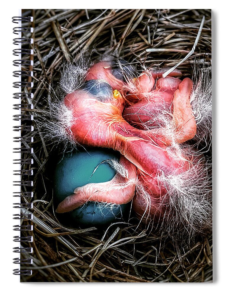 Bird Spiral Notebook featuring the photograph Hugs by David Rucker