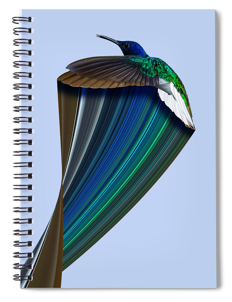 Exotic Spiral Notebook featuring the digital art Hummingbird Pixel Stretch 2 by Pelo Blanco Photo