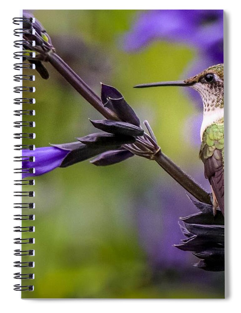 Portrait Spiral Notebook featuring the photograph Hummingbird Portrait by Susan Rydberg