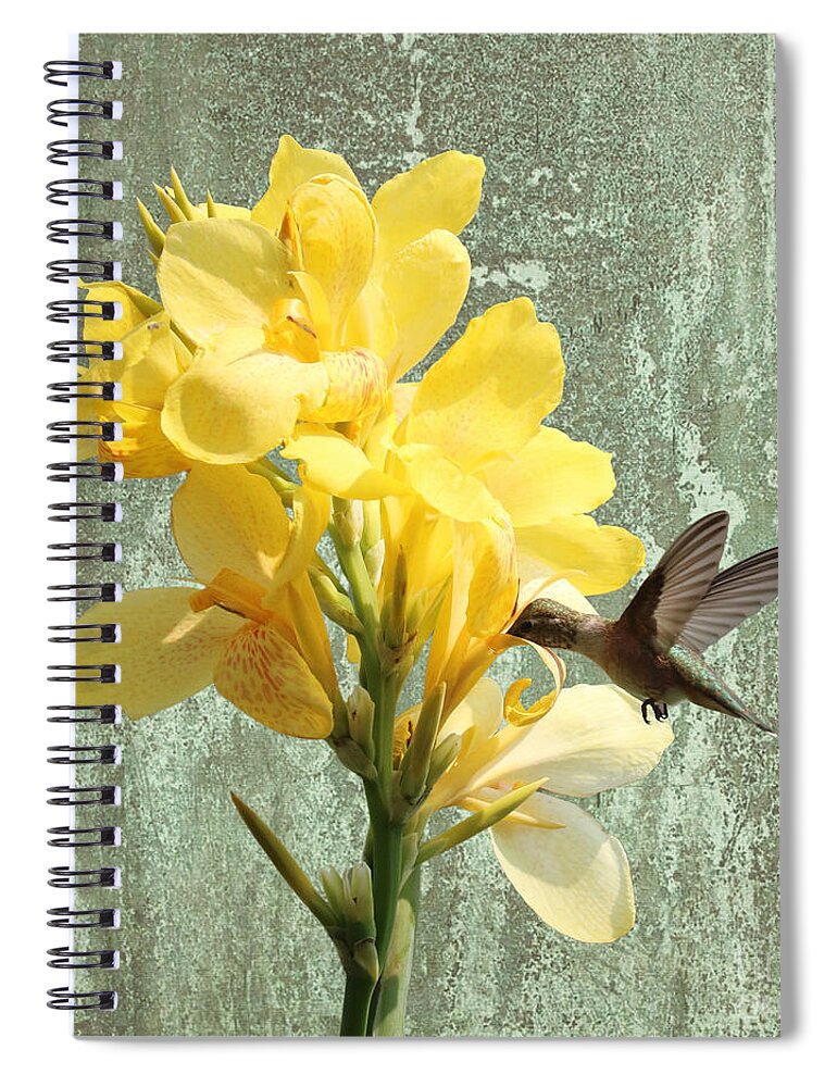Hummingbird Spiral Notebook featuring the photograph Hummingbird with Yellow Canna Lily Creative 2 by Carol Groenen