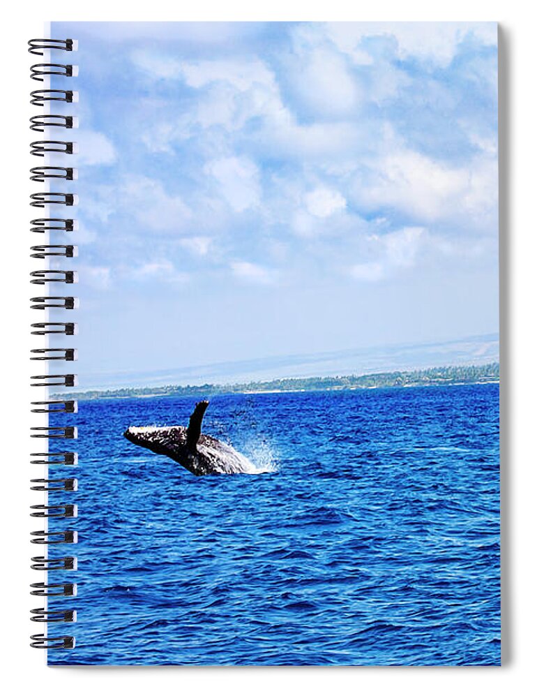  Humpback Whale Spiral Notebook featuring the photograph Humpback Breach on the Big Island by Anthony Jones