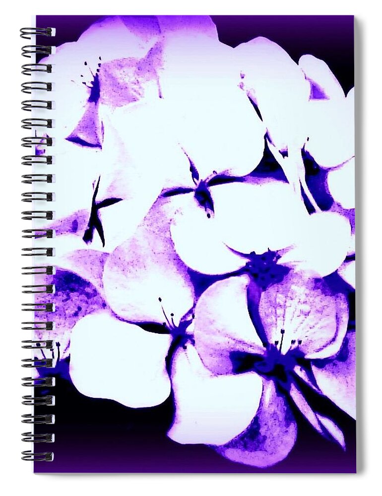Viva Spiral Notebook featuring the photograph Hydrangea Moderne by VIVA Anderson