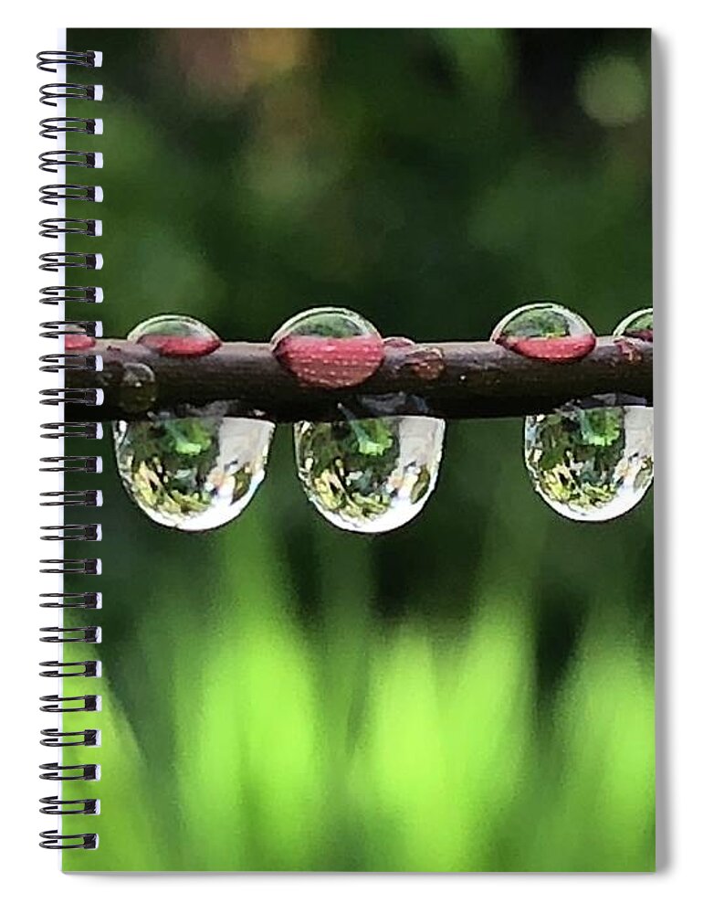 Water Spiral Notebook featuring the photograph Hydration by Holy Hands