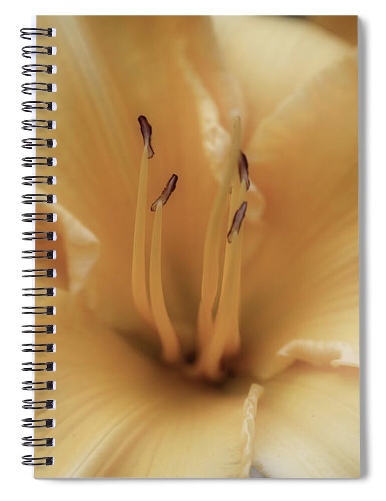Close-up Spiral Notebook featuring the photograph I Am Beautiful by Scott Burd