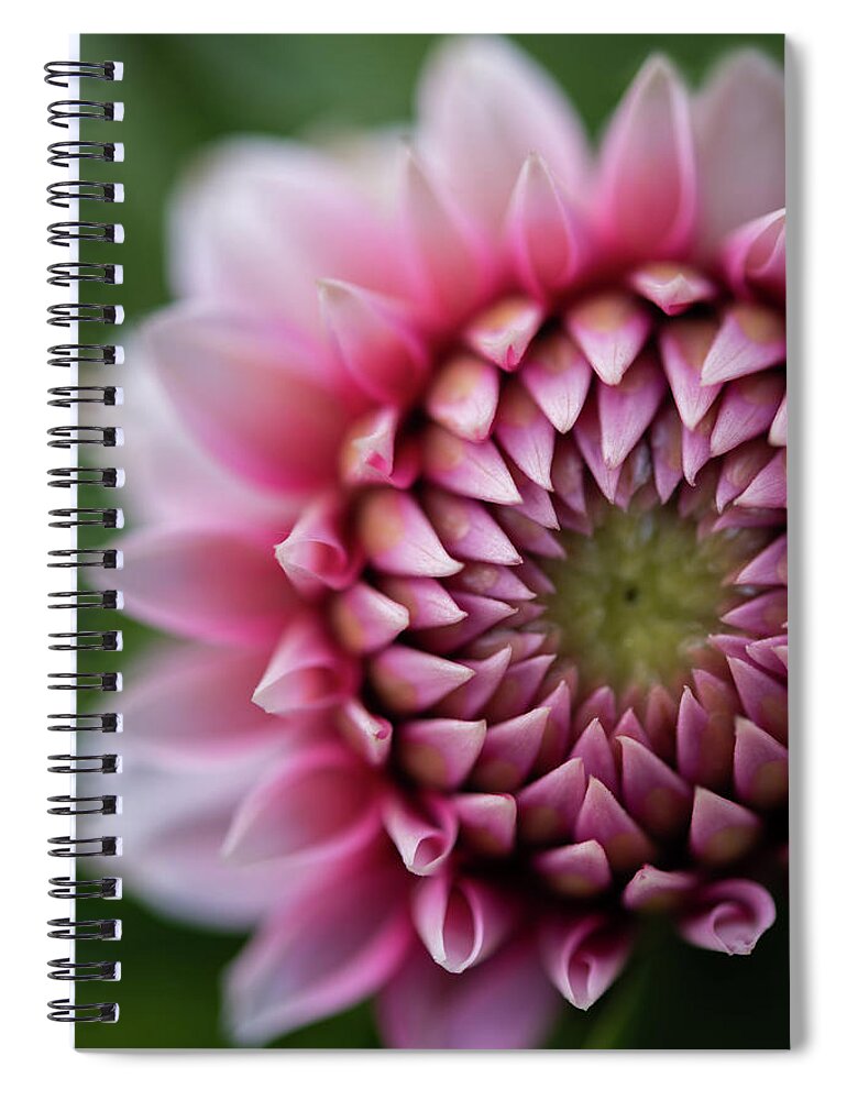 Flowers Spiral Notebook featuring the photograph I Dream of Dahlia by Alicia Glassmeyer