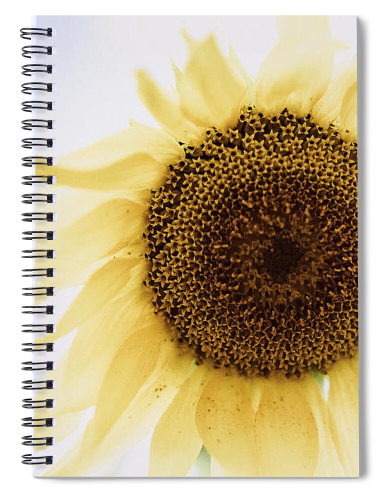 Sunflower Spiral Notebook featuring the photograph I Dream of Sunflower by Ada Weyland