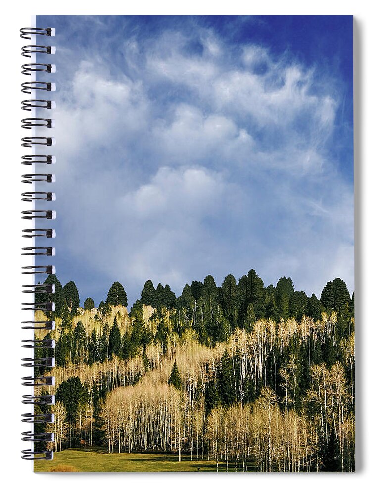 Nature Spiral Notebook featuring the photograph I Like To Watch by The Walkers