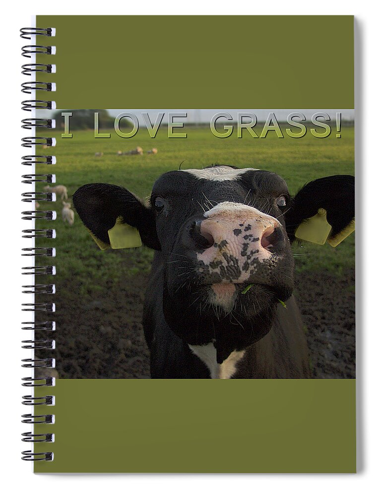 Cow Spiral Notebook featuring the photograph I Love Grass by Luc Van de Steeg