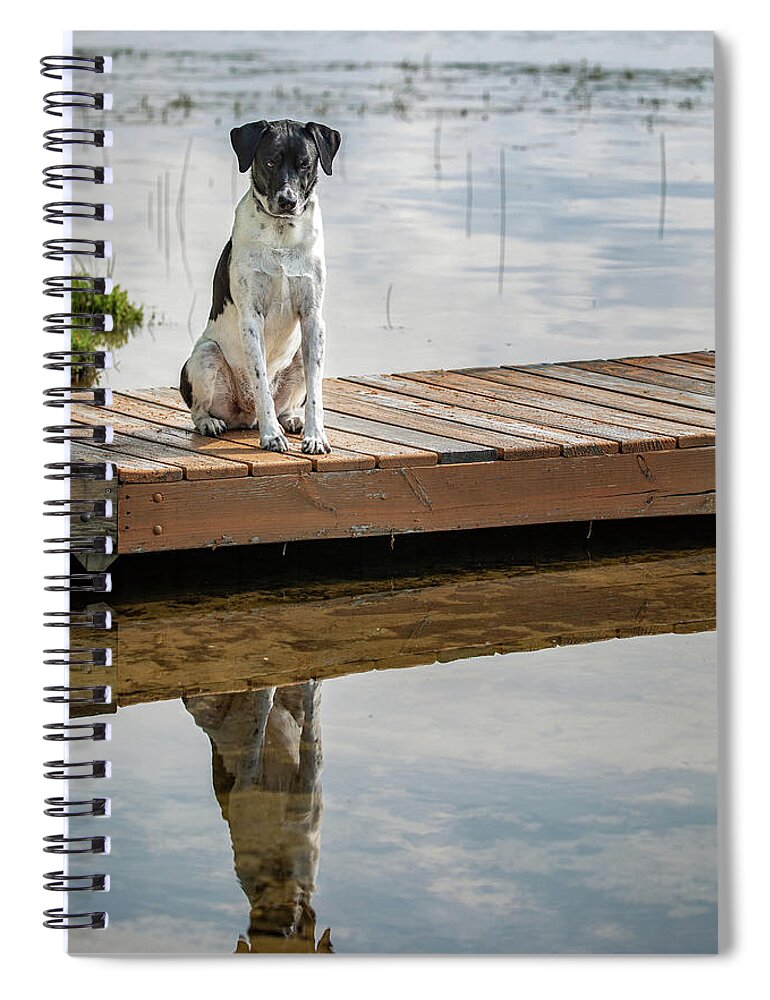 Levi Spiral Notebook featuring the photograph I See You by Denise Kopko