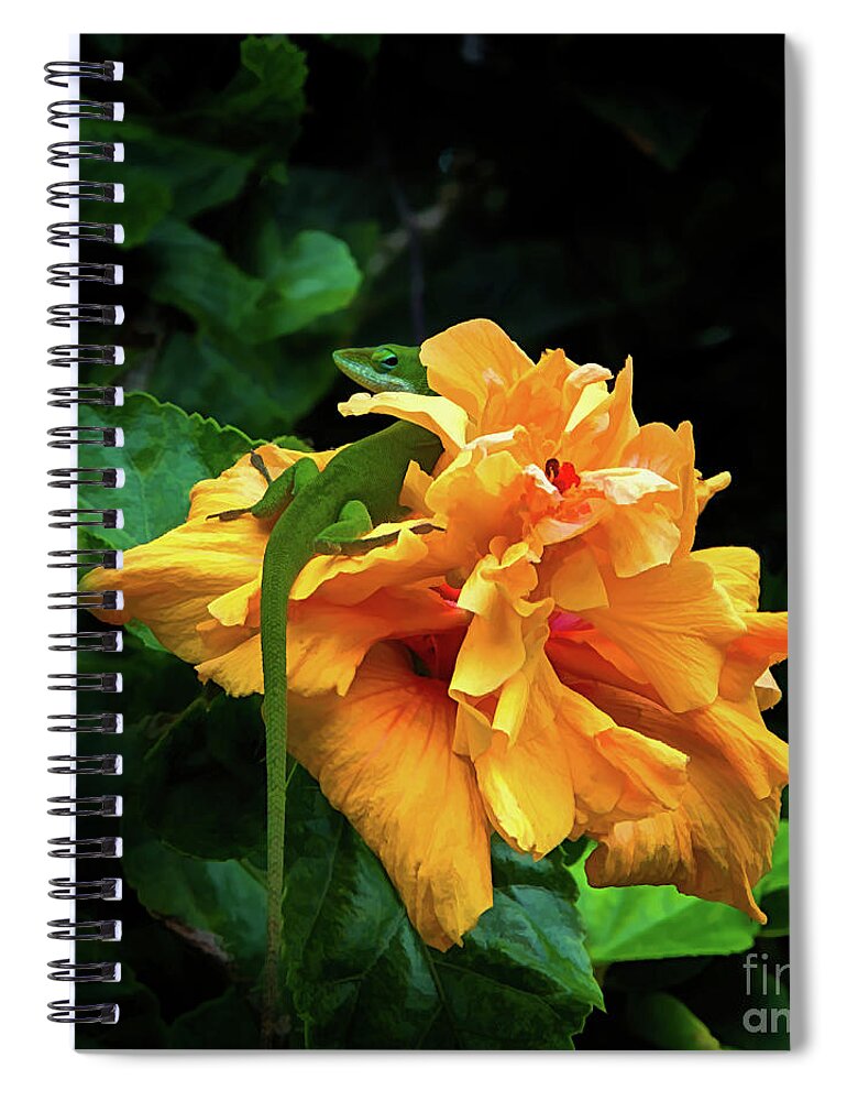 Anole Spiral Notebook featuring the photograph I See You by Neala McCarten