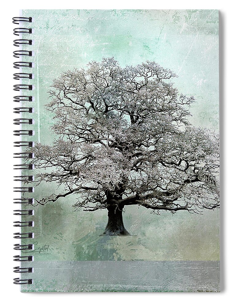 Trees Spiral Notebook featuring the photograph I Think That I Shall Never See... by Rene Crystal