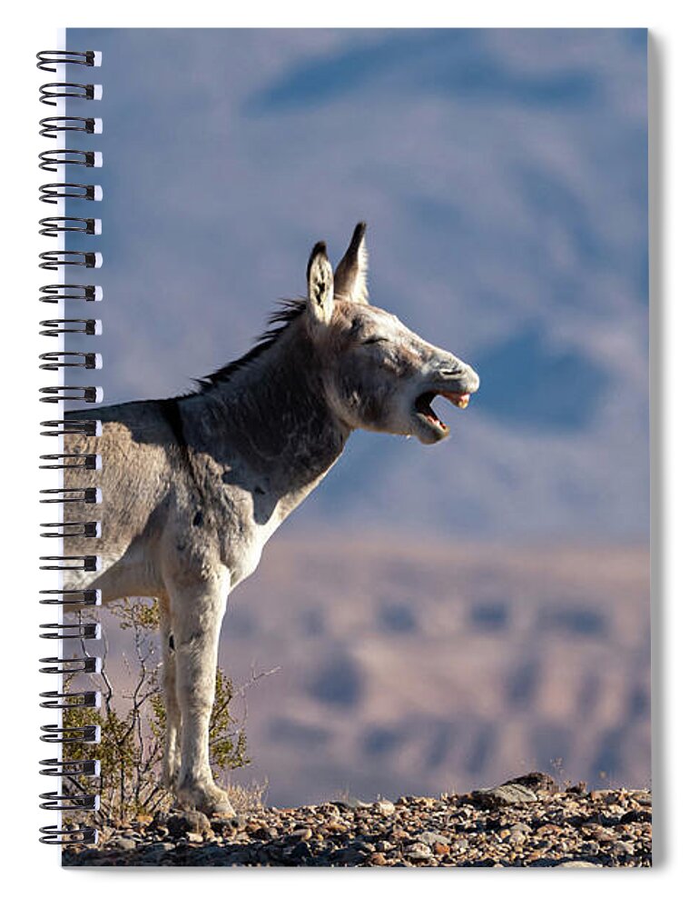 Wild Burros Spiral Notebook featuring the photograph I told you by Mary Hone