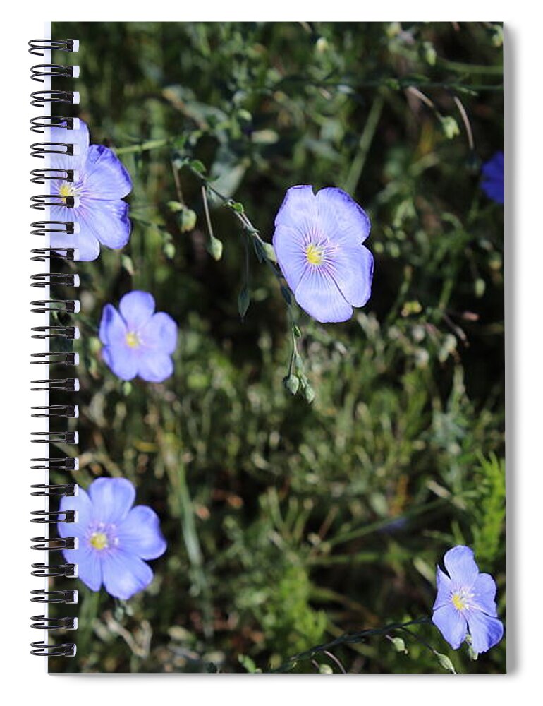 Blue Flowers Spiral Notebook featuring the photograph I will lift up mine eyes unto the hills, from whence cometh my help. by Yvonne M Smith