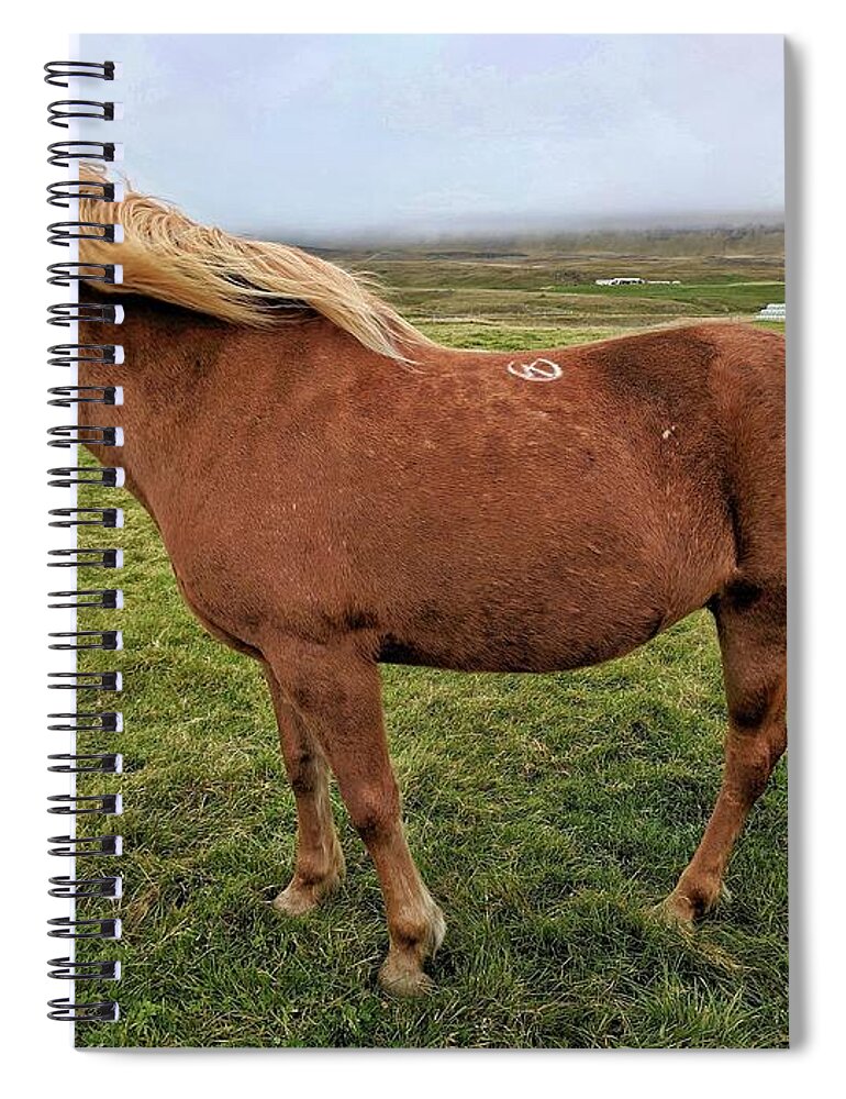 Iceland Spiral Notebook featuring the photograph Icelandic horse by Yvonne Jasinski
