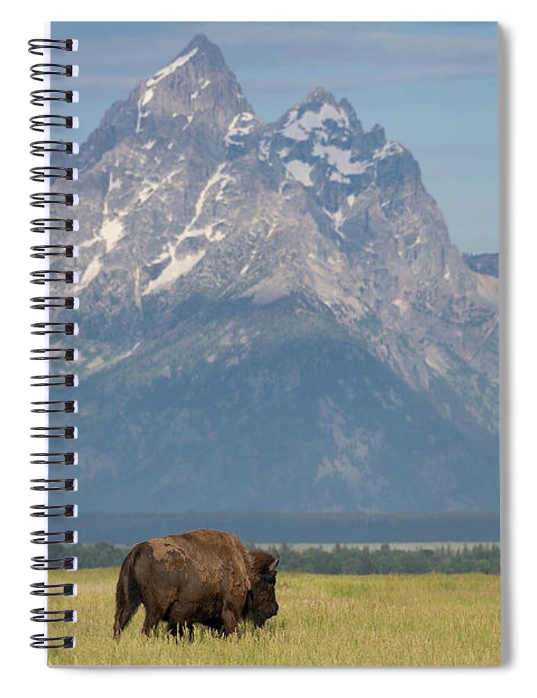 Tetons Spiral Notebook featuring the photograph Iconic by Mary Hone