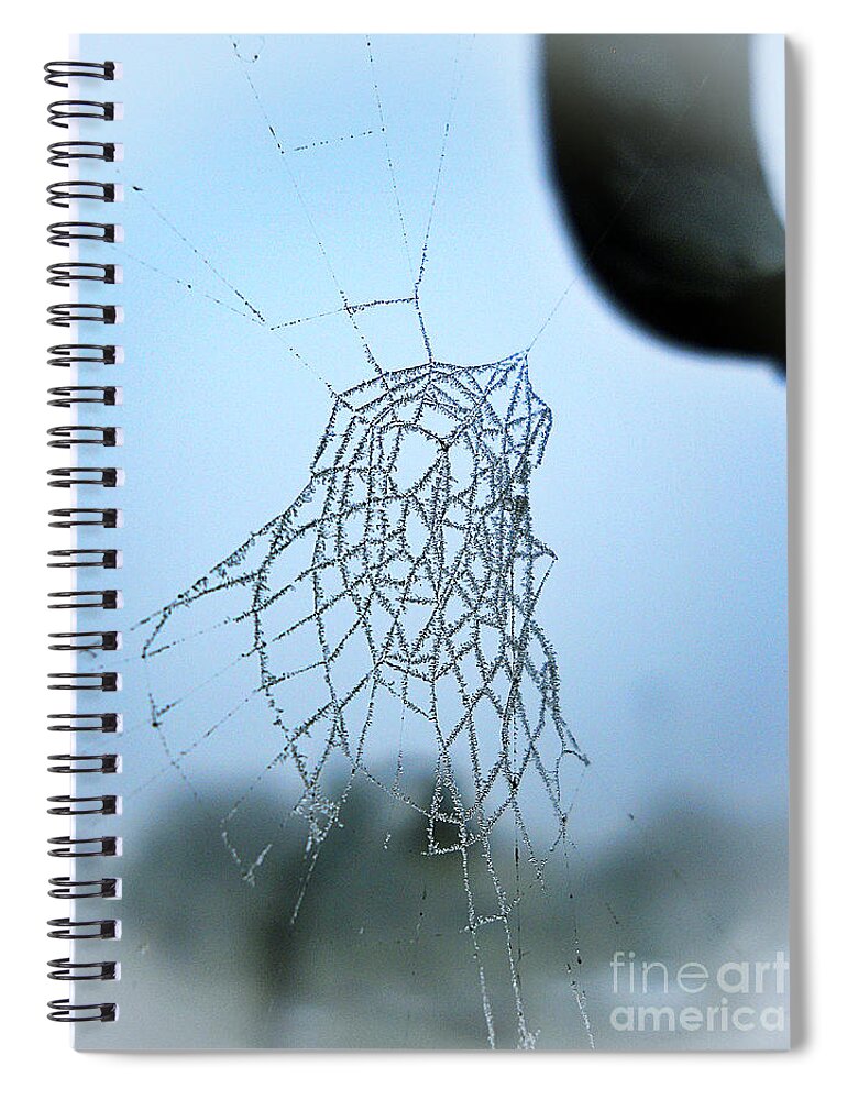 Spiderweb Spiral Notebook featuring the photograph Icy Spiderweb by Ramona Matei