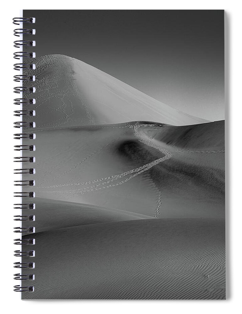 California Spiral Notebook featuring the photograph I'm a Whisper, I'm a Secret by Peter Tellone