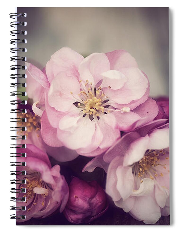 Flowers Spiral Notebook featuring the photograph I'm Feeling Love by Philippe Sainte-Laudy