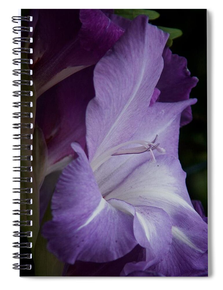 Gladiola Spiral Notebook featuring the photograph I'm Glad No. 2 by Richard Cummings