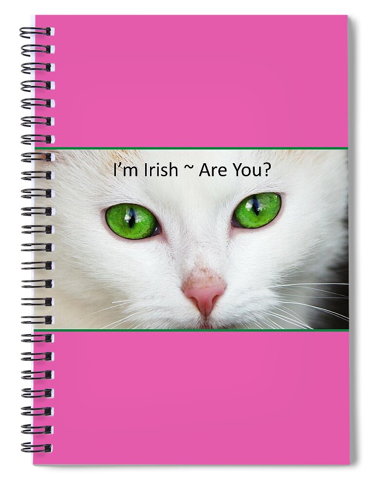 Cat Spiral Notebook featuring the photograph I'm Irish Are You by Nancy Ayanna Wyatt