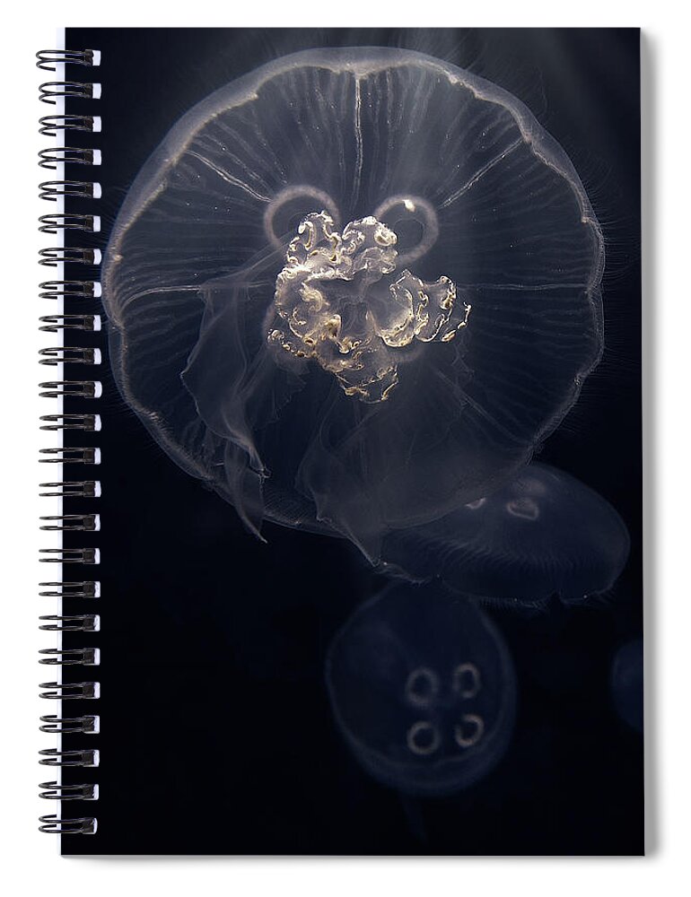 Ocean Spiral Notebook featuring the photograph I'm So Jelly by Sennie Pierson